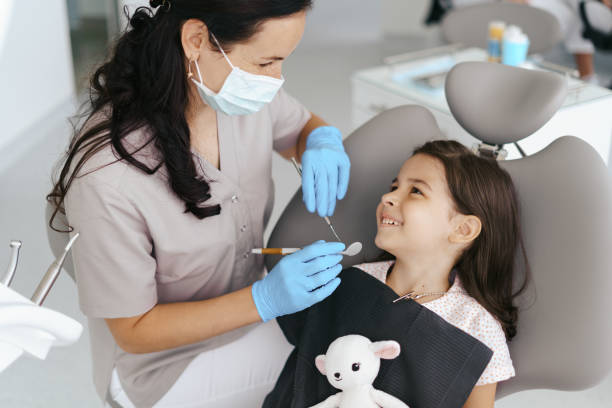 Best Emergency Dental Care for Broken or Chipped Teeth in Taylorvle, IL