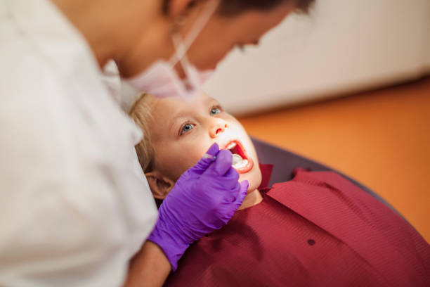 Best Emergency Dental Care for Broken or Chipped Teeth in Taylorvle, IL